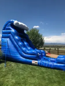 Tsunami20side20profile 1734782307 big.jpg Summer Party Inspiration: Turn Your Yard into a Water Park with Slides and Combos